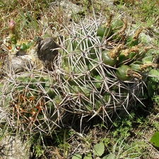P1015806