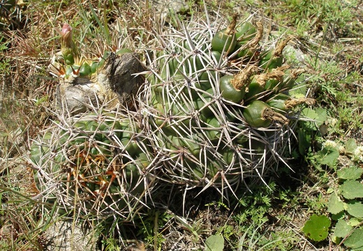 P1015806