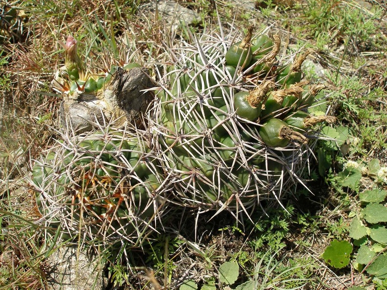 P1015806