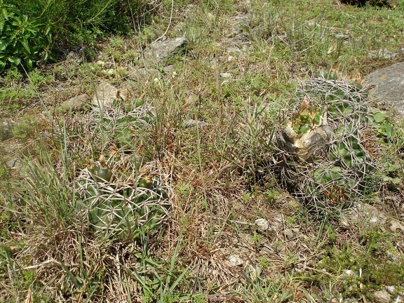 P1015807