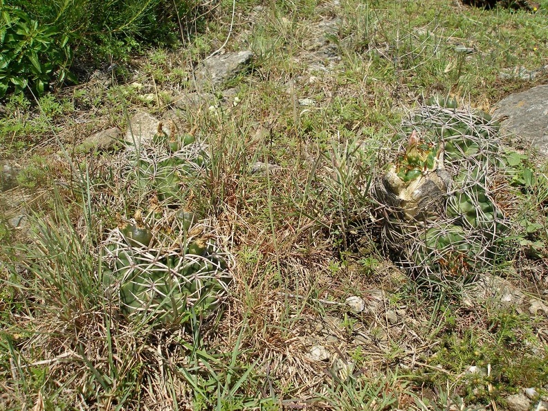 P1015807.JPG