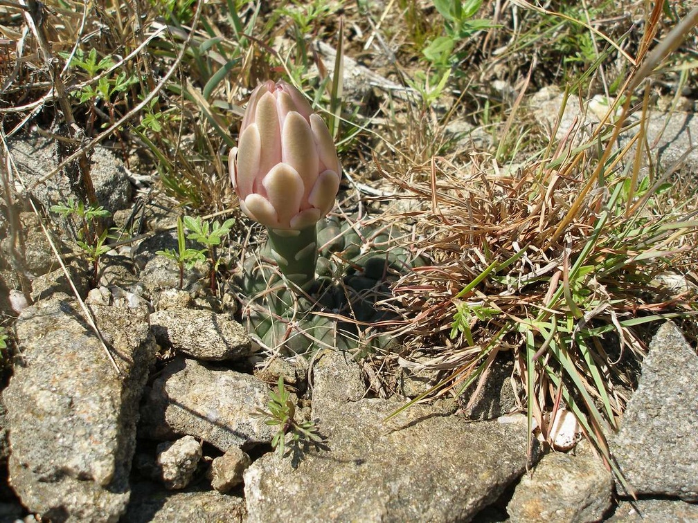 P1015808