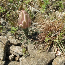 P1015808