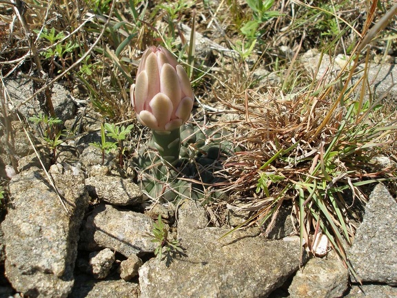 P1015808