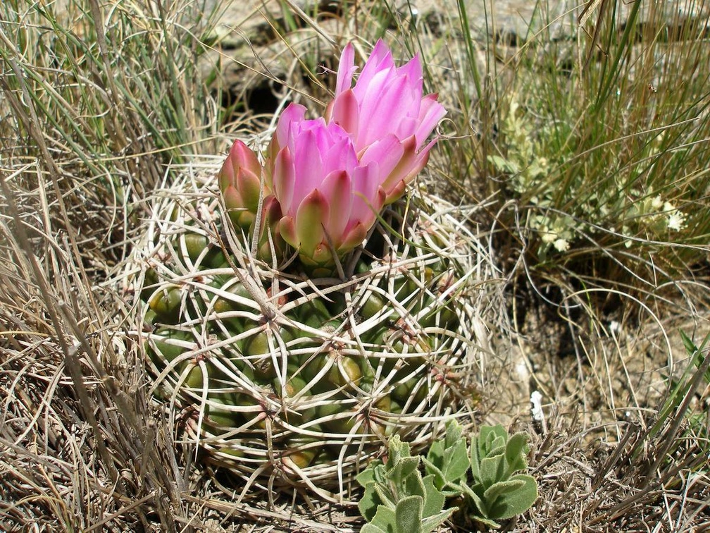 P1015817
