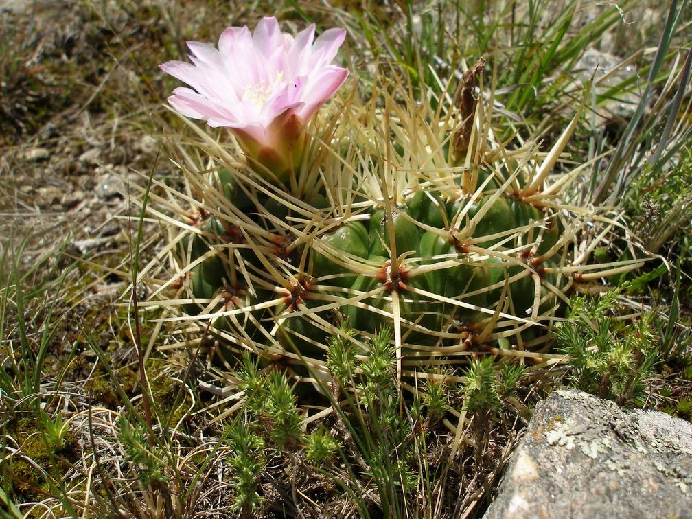 P1015818