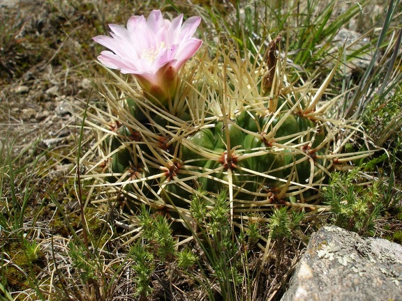 P1015818
