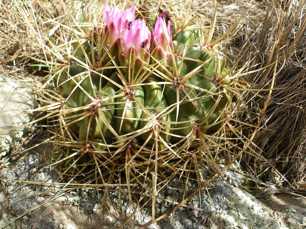 P1015821