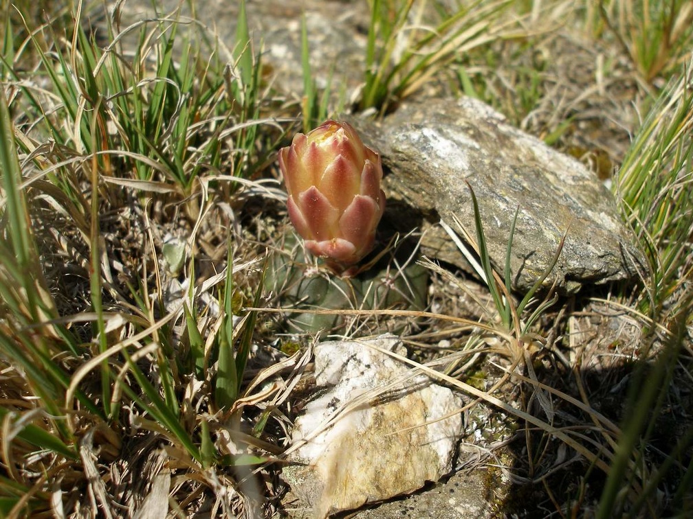 P1015826