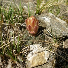 P1015826