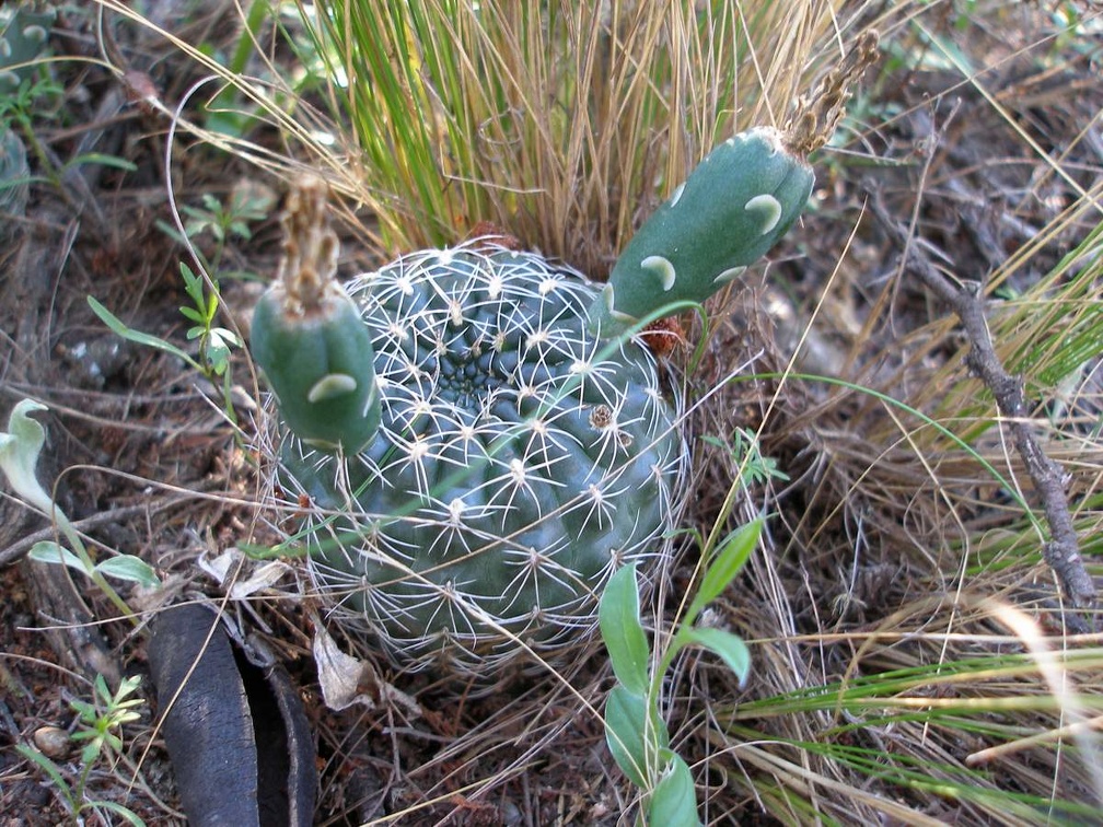P1015829