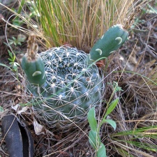 P1015829