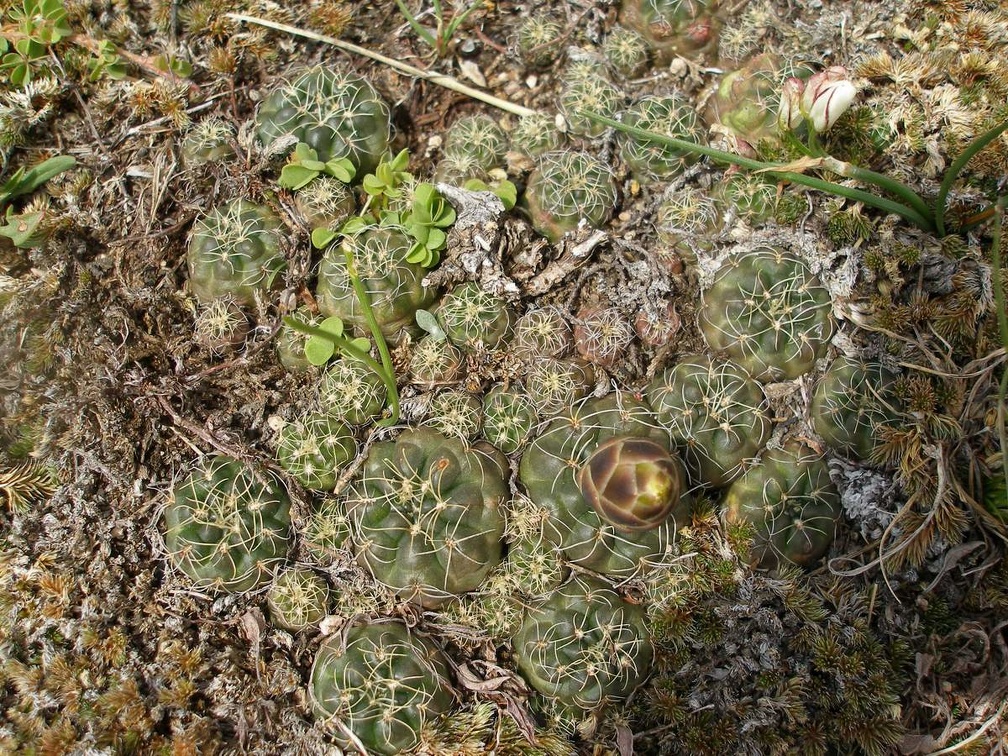 P1015837