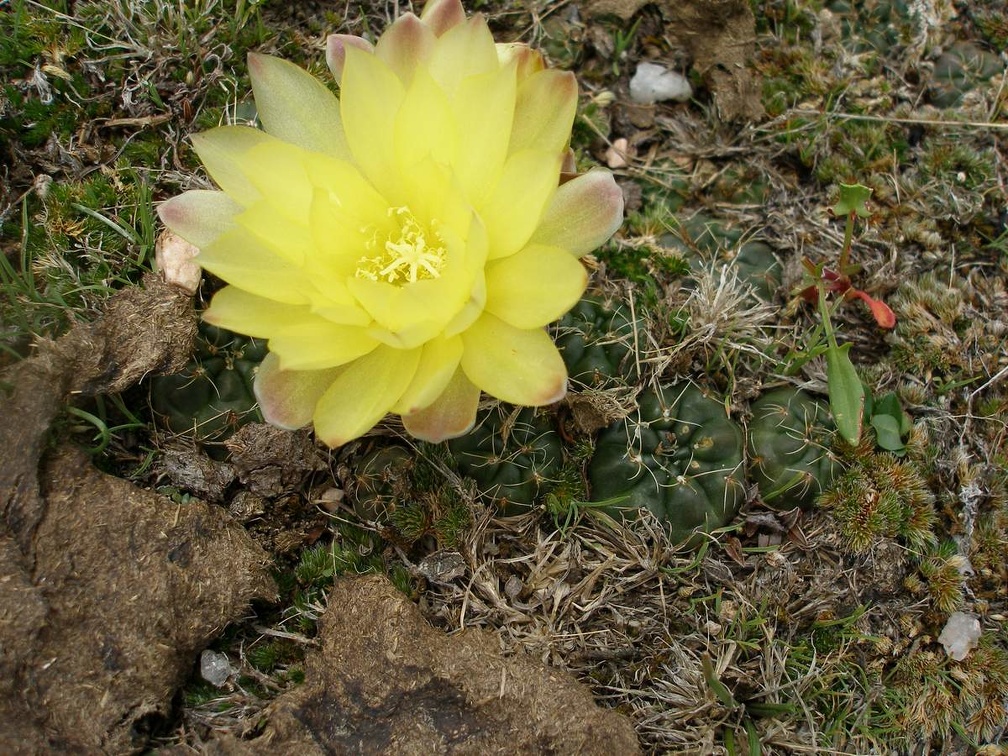 P1015840