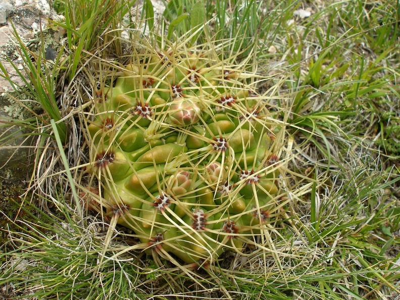 P1015841