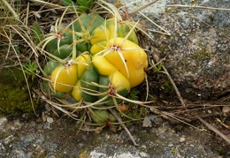 P1015844