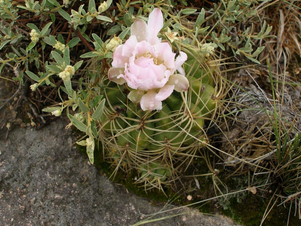 P1015845