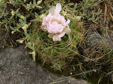 P1015845