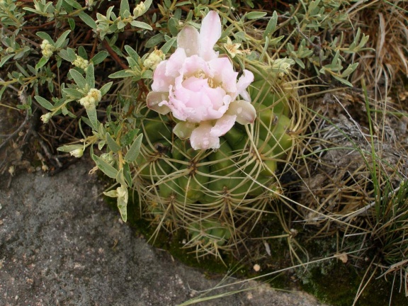 P1015845
