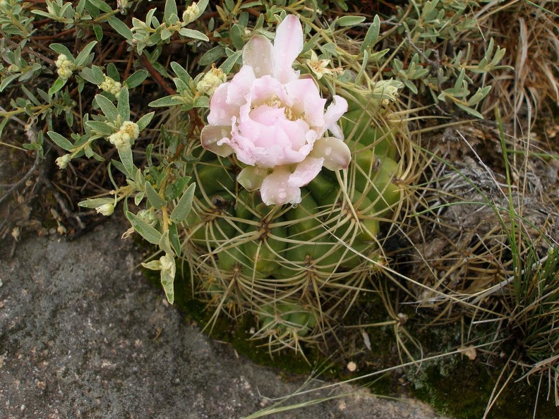 P1015845