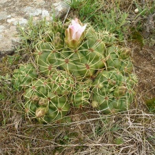 P1015846
