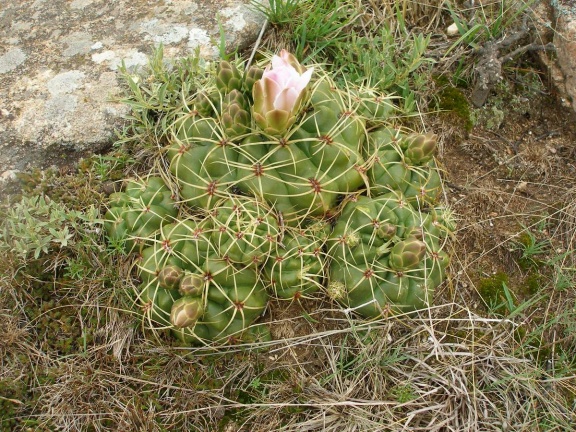 P1015846
