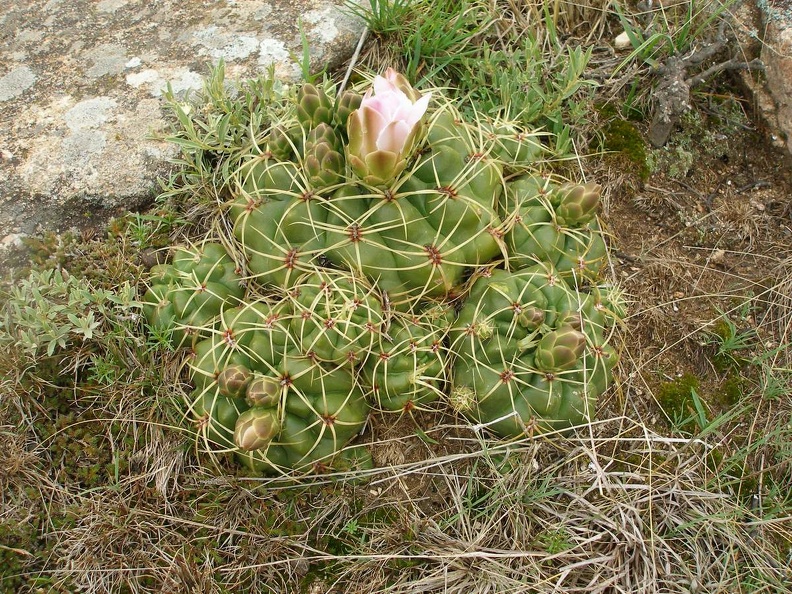 P1015846