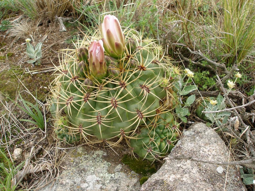 P1015847