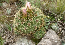 P1015847