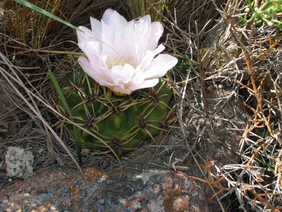 P1015856