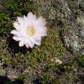 P1015860