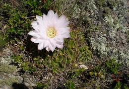 P1015860