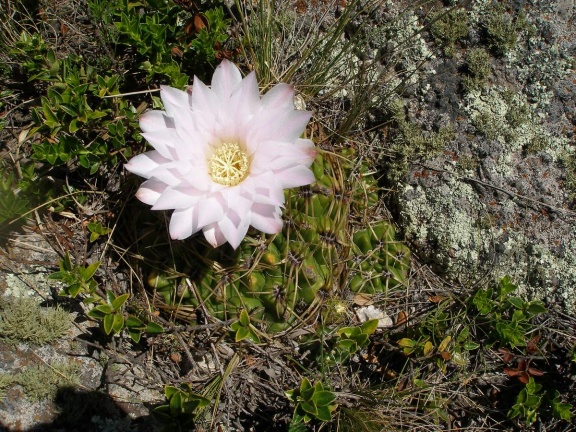 P1015860
