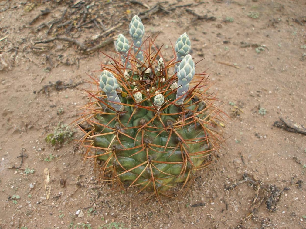 P1015867