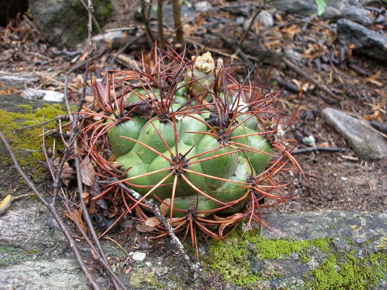 P1015869