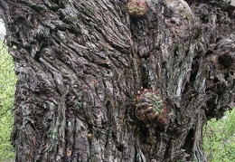 P1015870