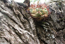 P1015871