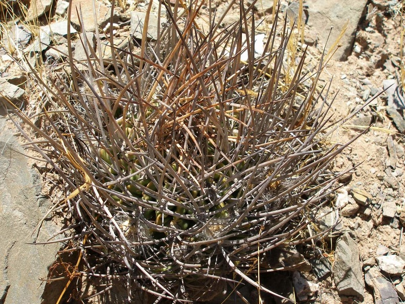P1015899