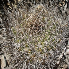 P1015900