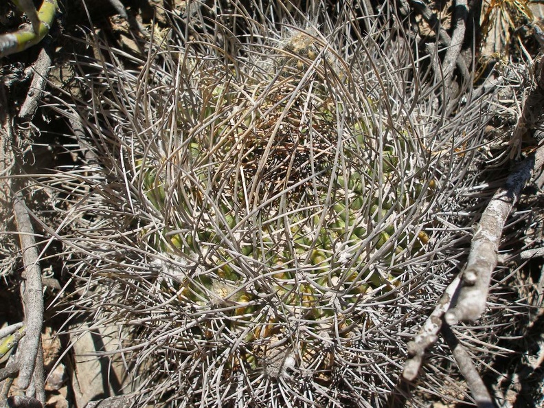 P1015900.JPG