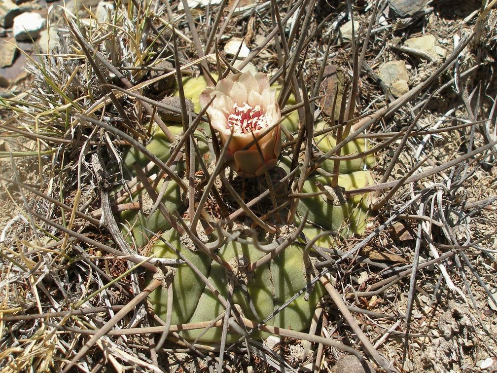P1015943