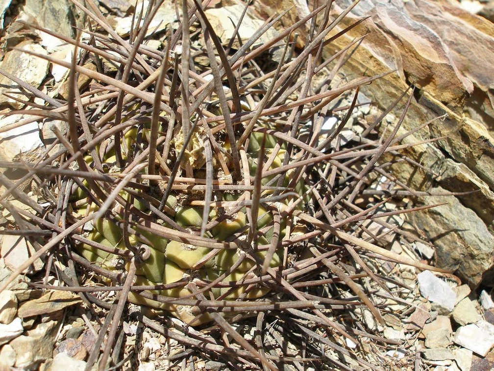 P1015944