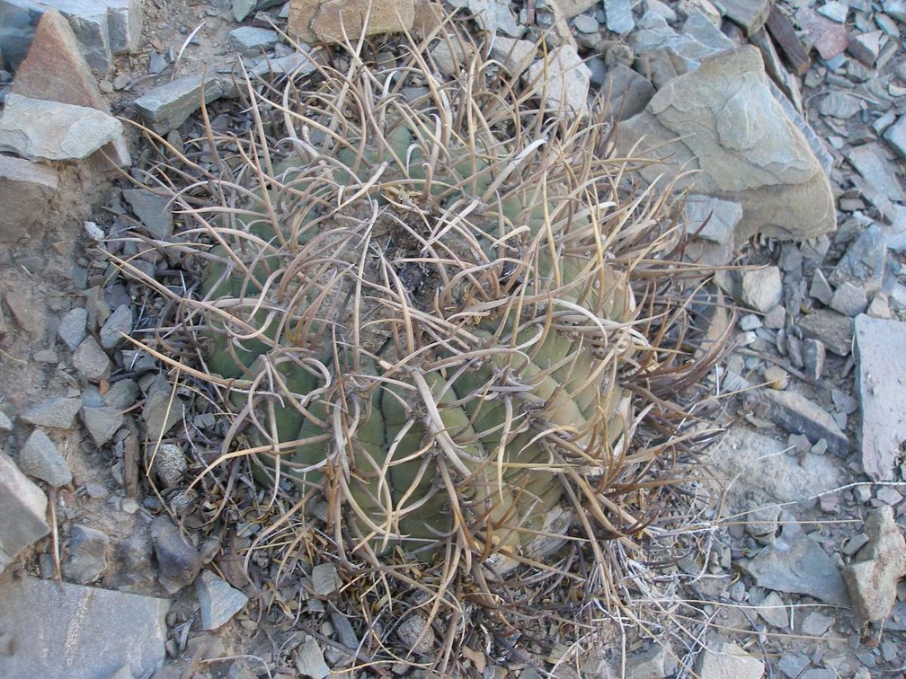 P1015947