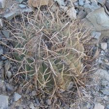 P1015947