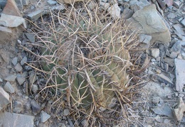 P1015947