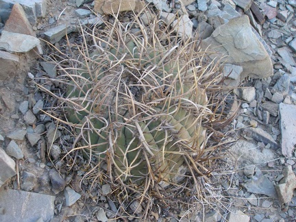 P1015947