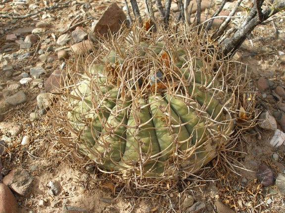 P1015978