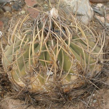 P1015980
