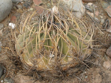P1015980