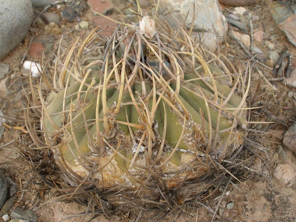 P1015980